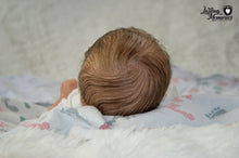 Load image into Gallery viewer, OOAK Reborn Twin - Ashley Asleep by Debra Jadick