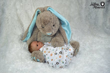 Load image into Gallery viewer, OOAK Reborn Twin - Ashley Awake by Debra Jadick
